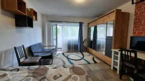 Lovely 1-room rental unit, with air conditioning